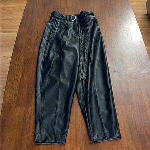 Babaton Aritzia ladies Vegan Faux Leather Belted Pants High Rise Black. Size 00.